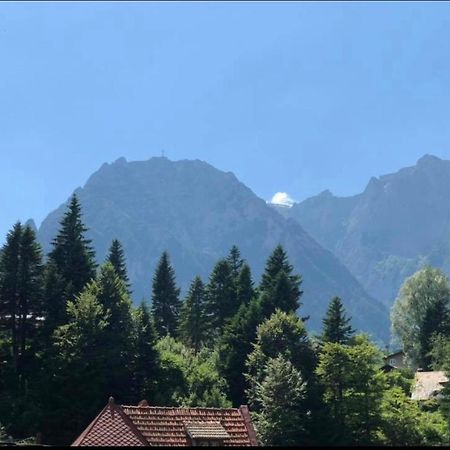 Pensiunea Sport Buşteni Buitenkant foto