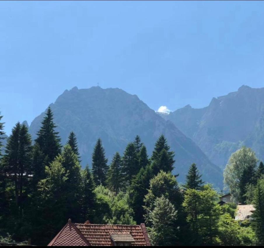Pensiunea Sport Buşteni Buitenkant foto