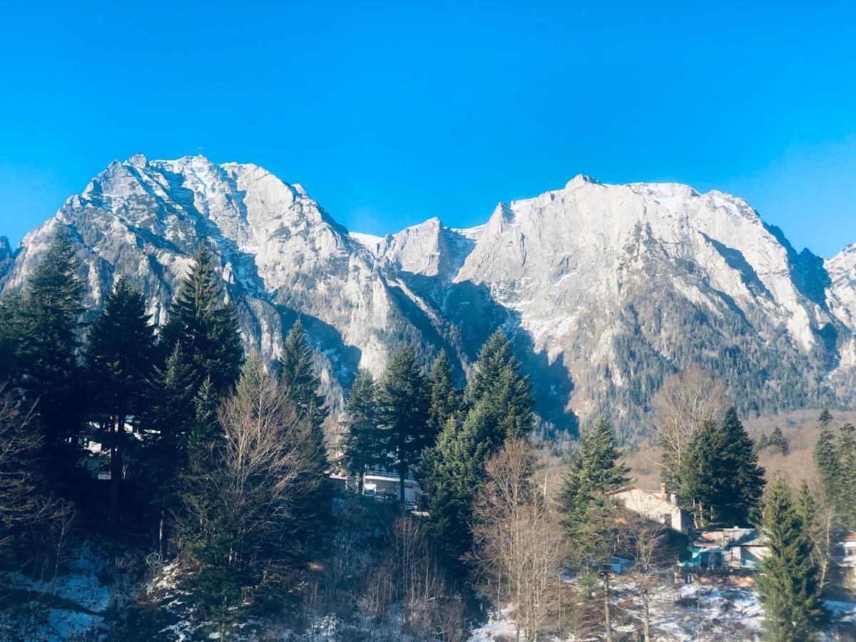 Pensiunea Sport Buşteni Buitenkant foto