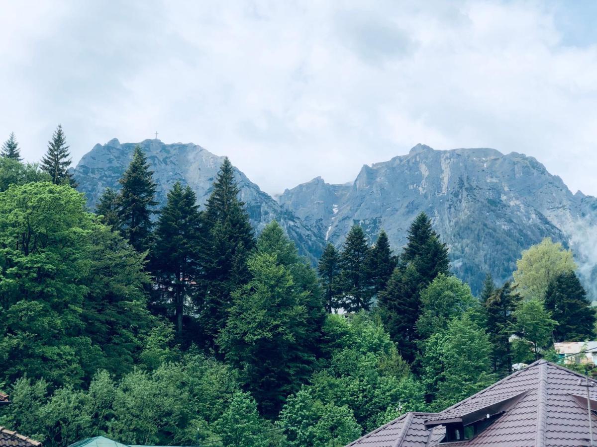 Pensiunea Sport Buşteni Buitenkant foto